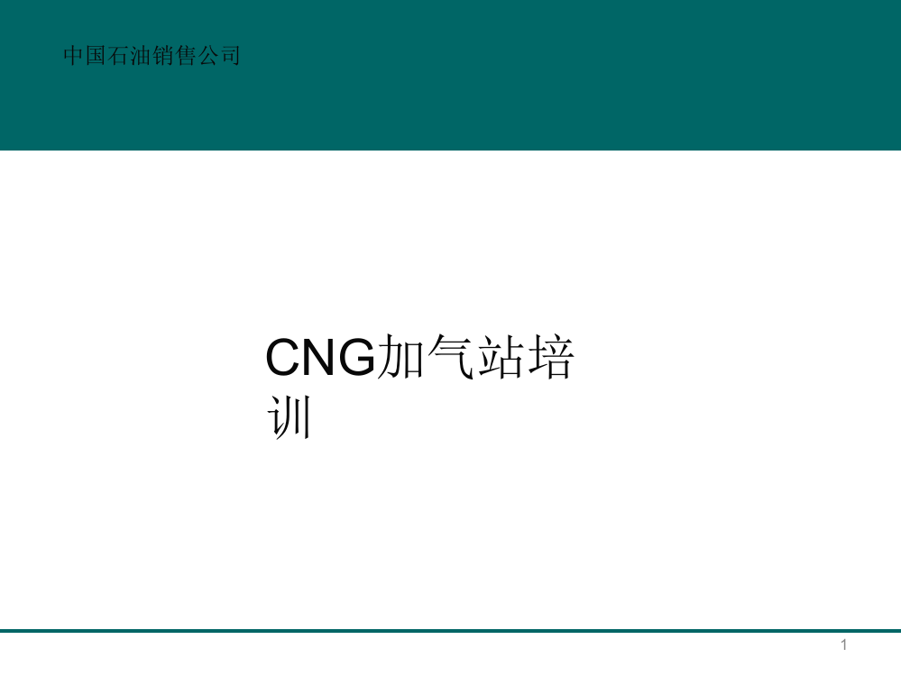 CNG加气站培训