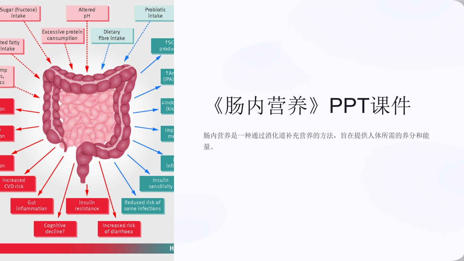 《肠内营养》课件