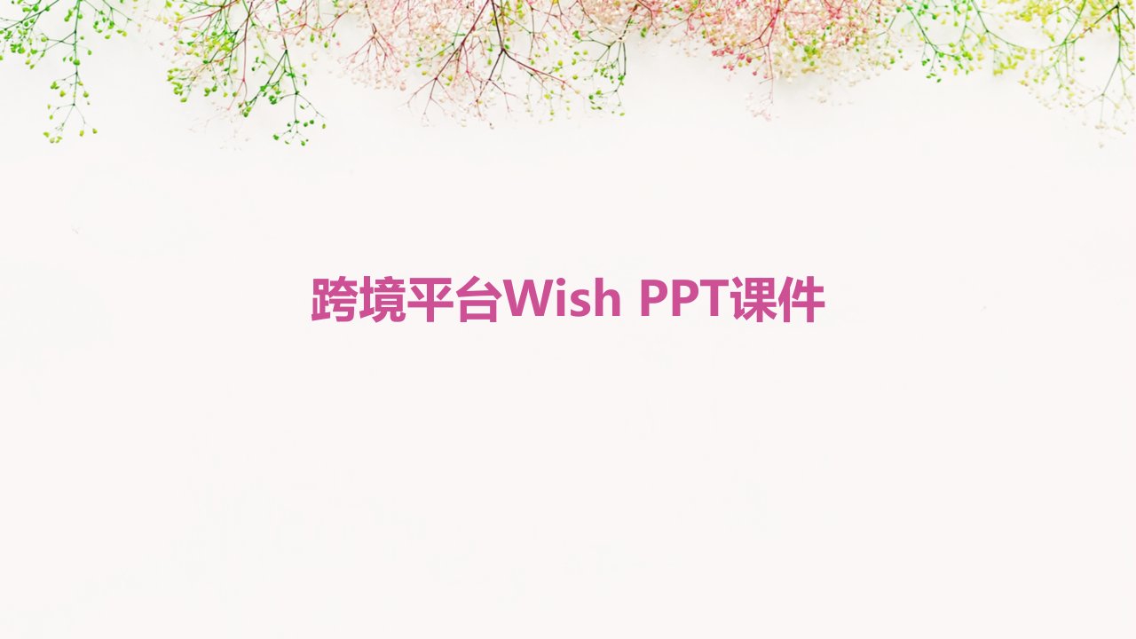 《跨境平台WISH》课件