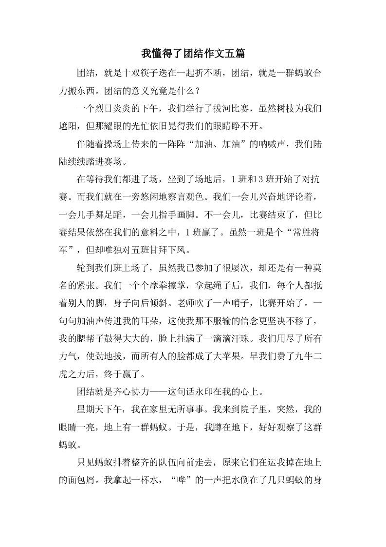 我懂得了团结作文五篇