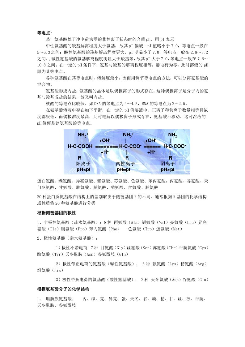 氨基酸分类及等电点的计算方法