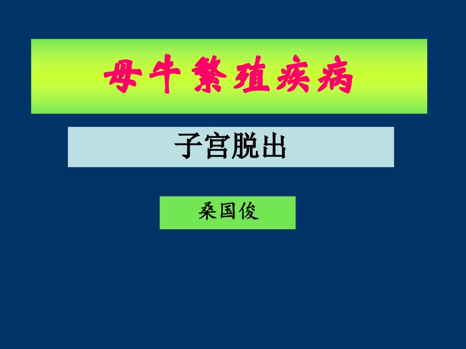 桑国俊母牛繁殖疾病-子宫脱出