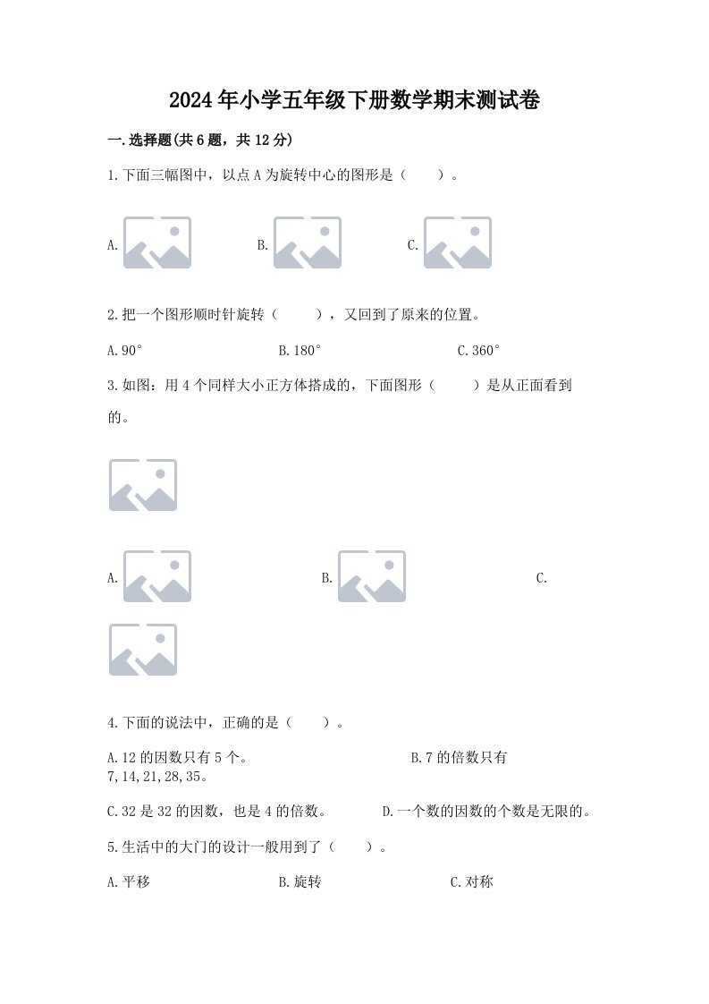 2024年小学五年级下册数学期末测试卷精品