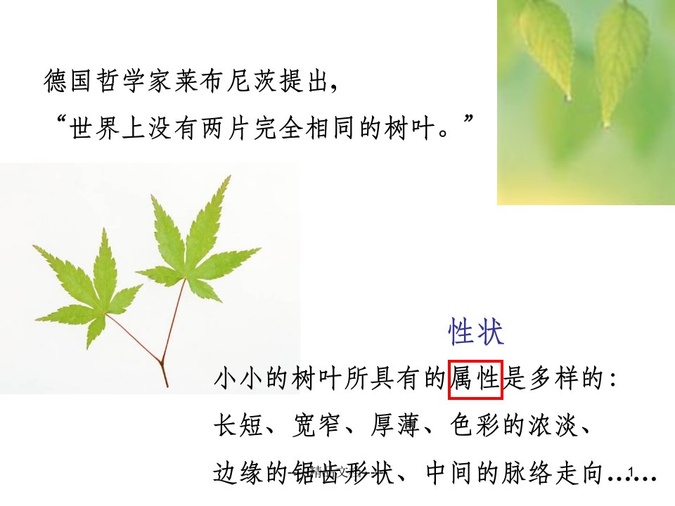 第五节生物的变异ppt课件