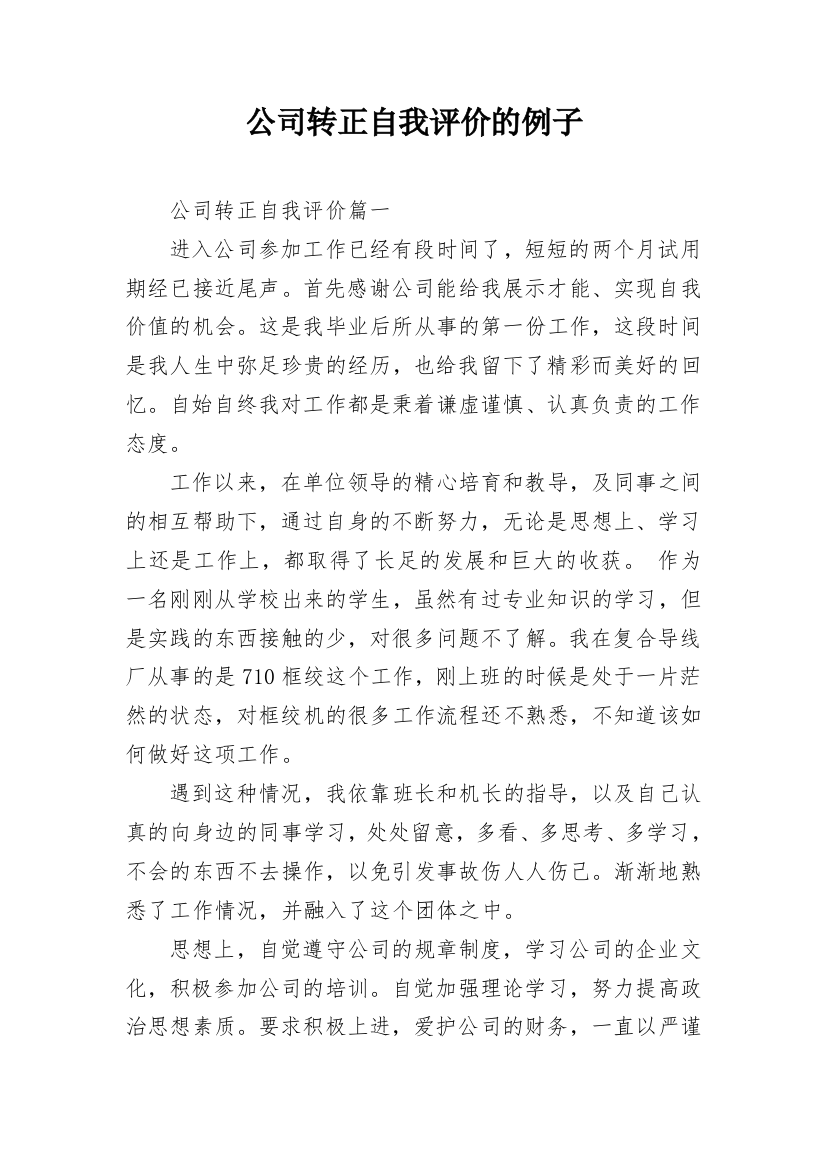 公司转正自我评价的例子