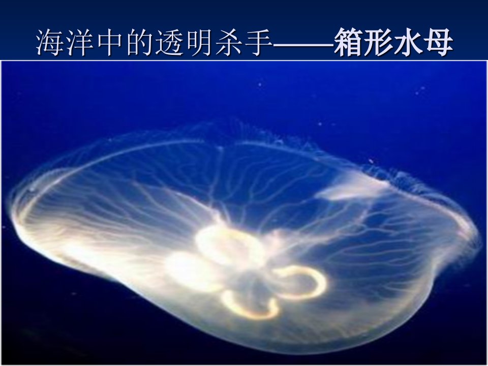 可怕的生物