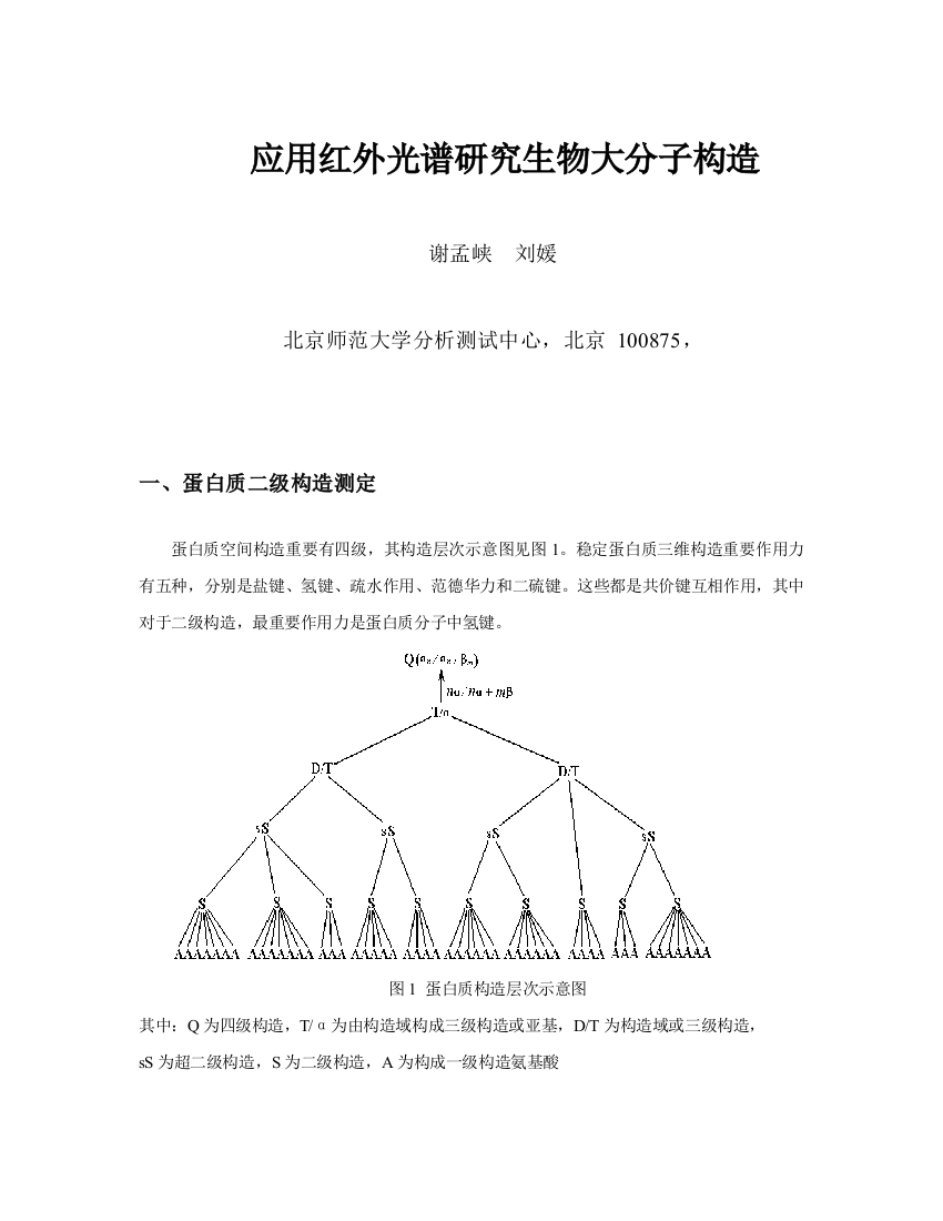 应用红外光谱研究生物大分子的结构样本