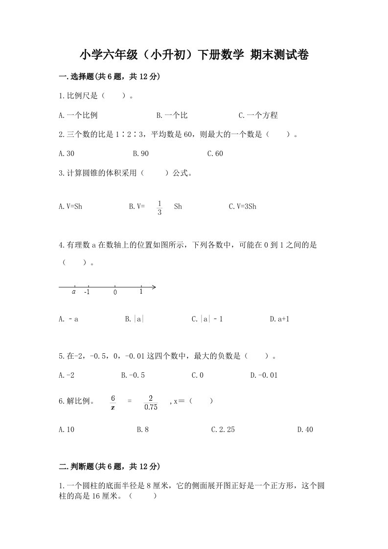 小学六年级（小升初）下册数学