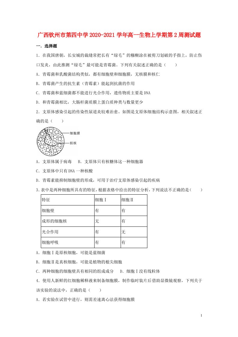 广西钦州市第四中学2020_2021学年高一生物上学期第2周测试题