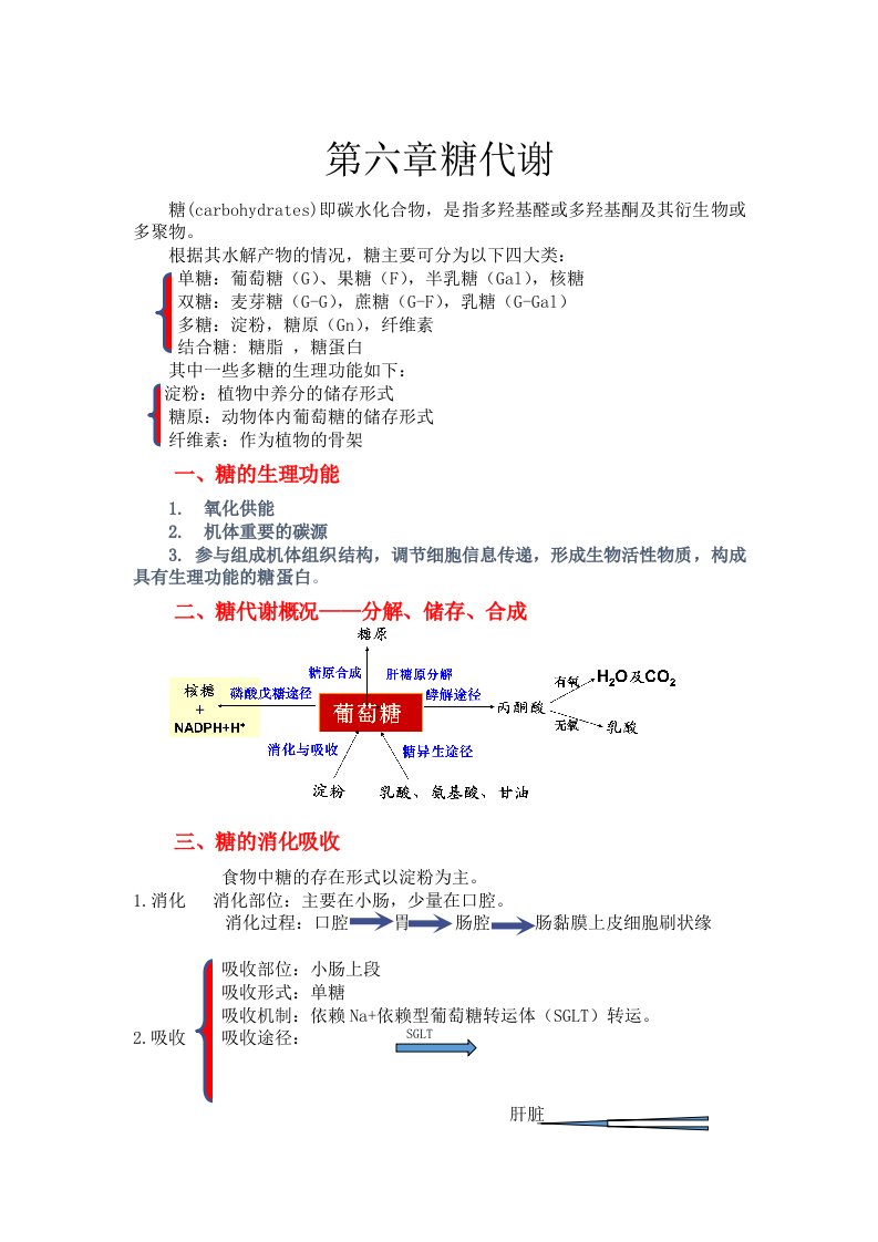 生物化学糖代谢知识点总结