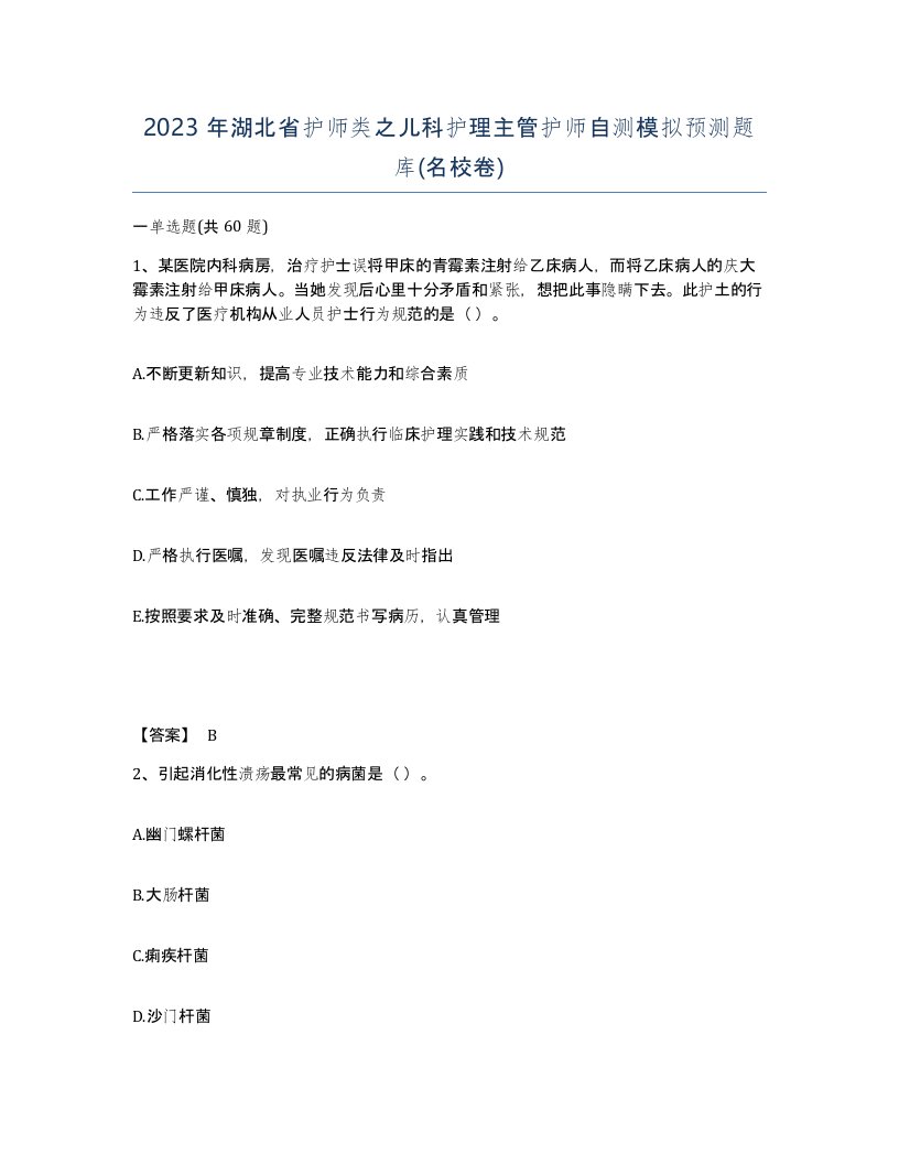 2023年湖北省护师类之儿科护理主管护师自测模拟预测题库名校卷