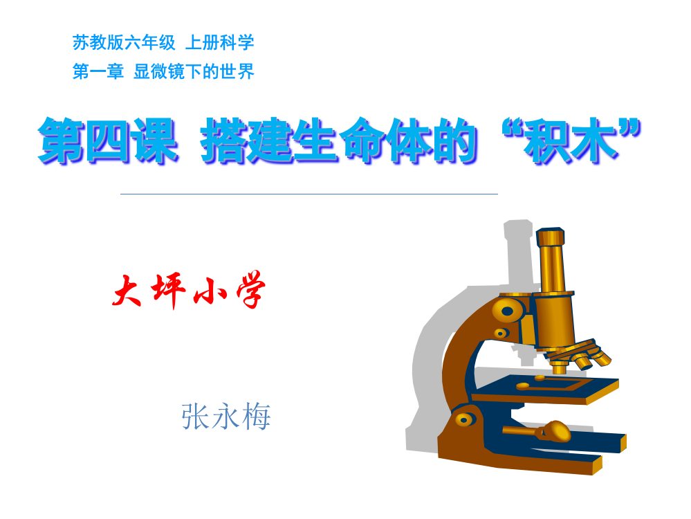 晒课苏教版科学六上《搭建生命体的积木》PPT课件1