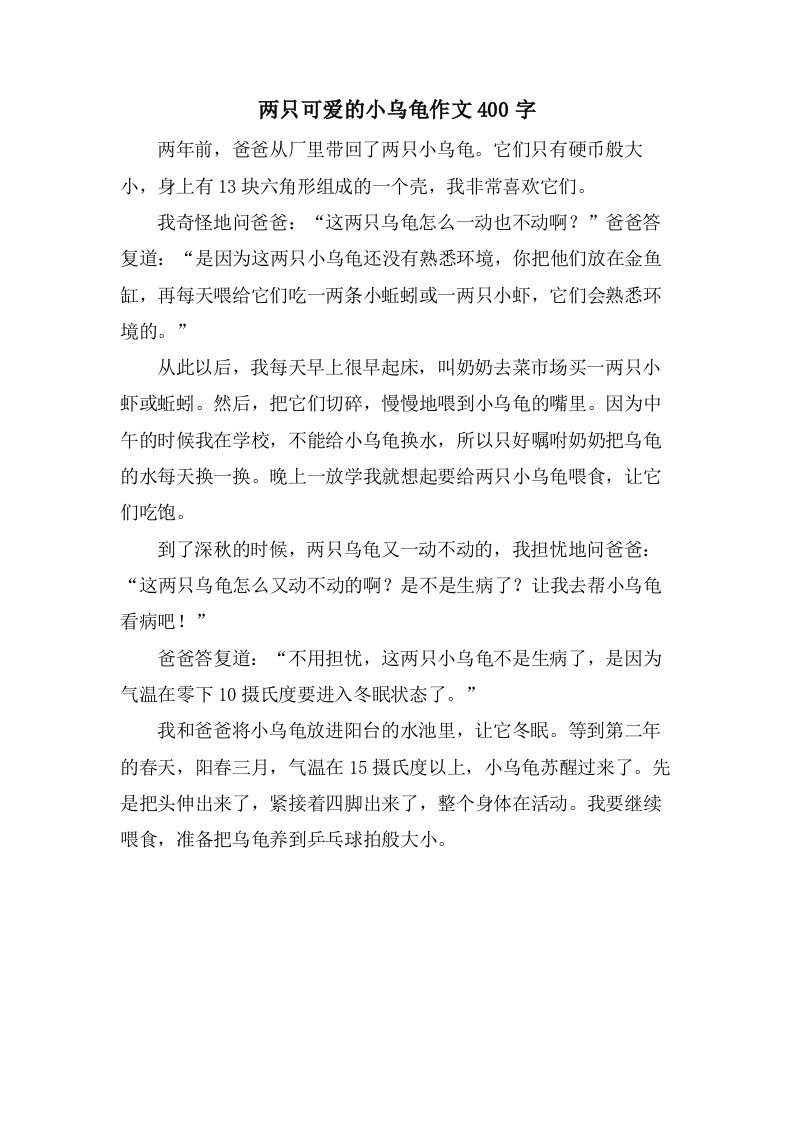 两只可爱的小乌龟作文400字