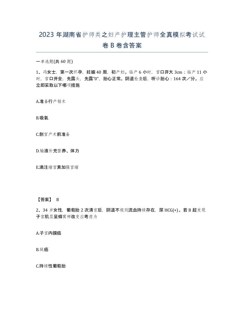 2023年湖南省护师类之妇产护理主管护师全真模拟考试试卷B卷含答案