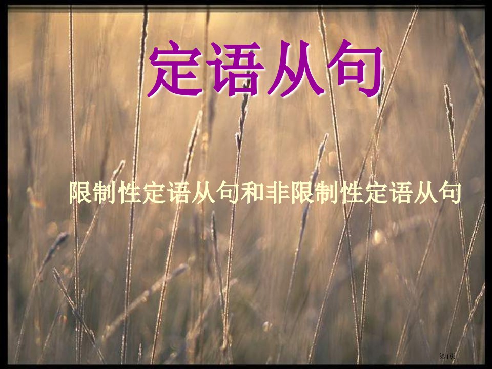 限制性定语从句和非限制性定语从句名师公开课一等奖省优质课赛课获奖课件