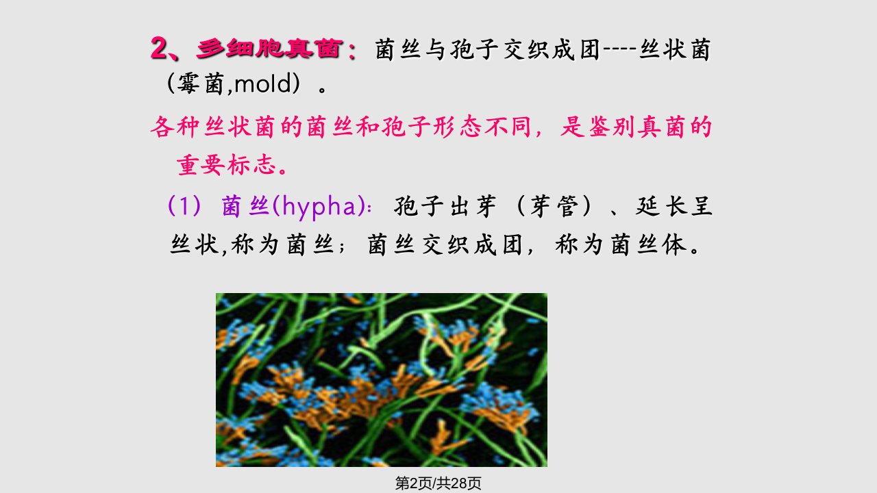 章医学微生物学