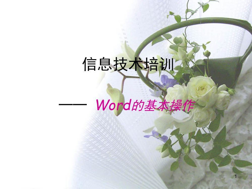 Word和excel的基本操作