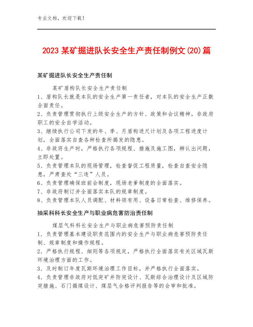 2023某矿掘进队长安全生产责任制例文(20)篇