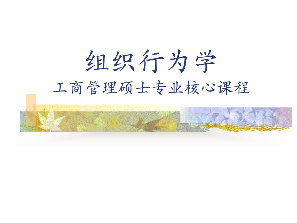 组织行为学—第一章：个体行为