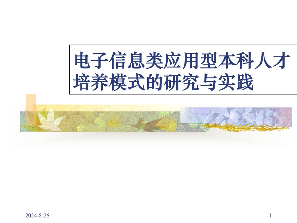 电子信息类应用型本科人才培养模式的的研究与实践-精选课件