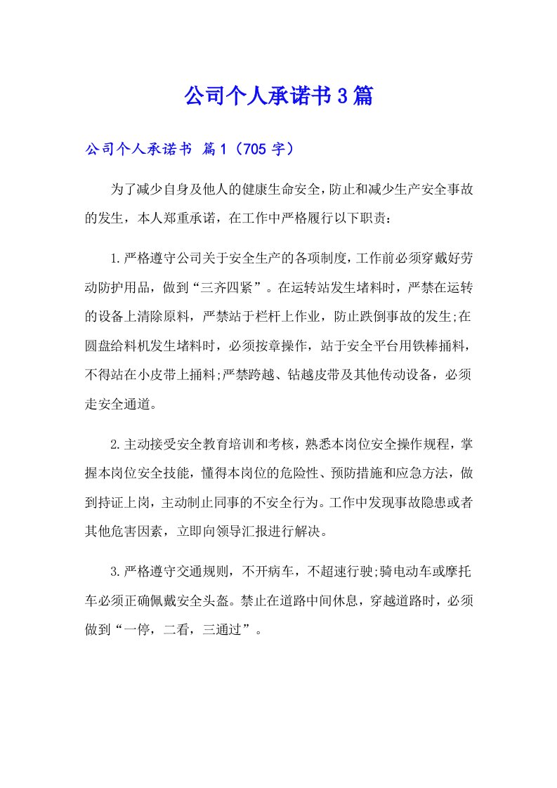 公司个人承诺书3篇