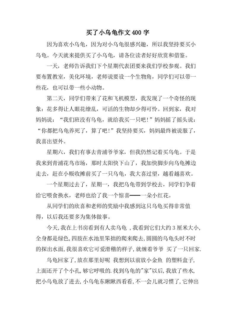 买了小乌龟作文400字