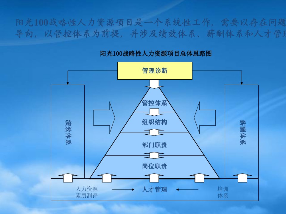 战略性人力资源体系管理咨询管控和组织优化分析报告