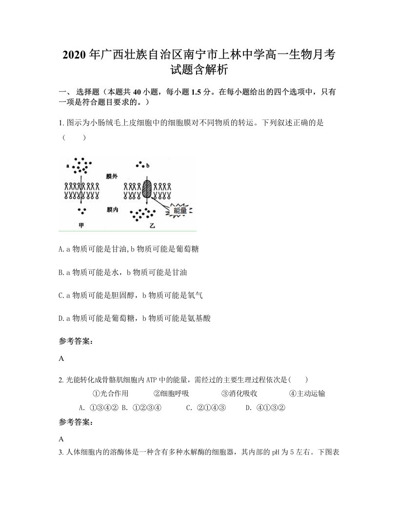 2020年广西壮族自治区南宁市上林中学高一生物月考试题含解析