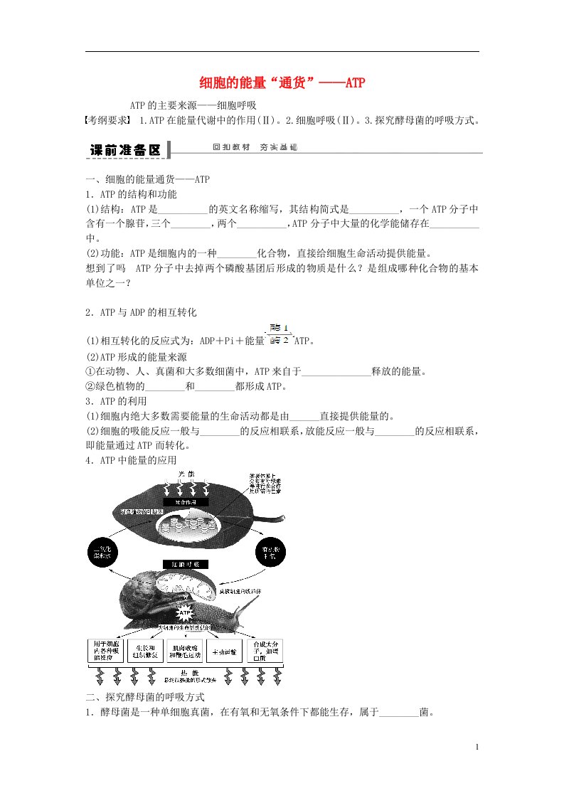 高考生物大一轮复习