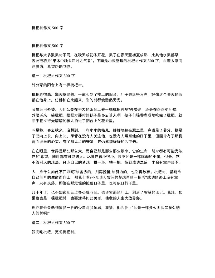 枇杷树作文500字