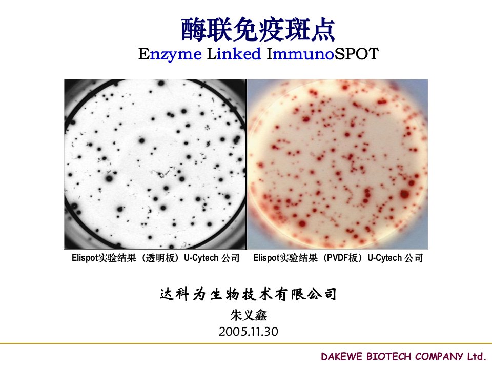 ELISPOT技术原理及其应用PPT演示