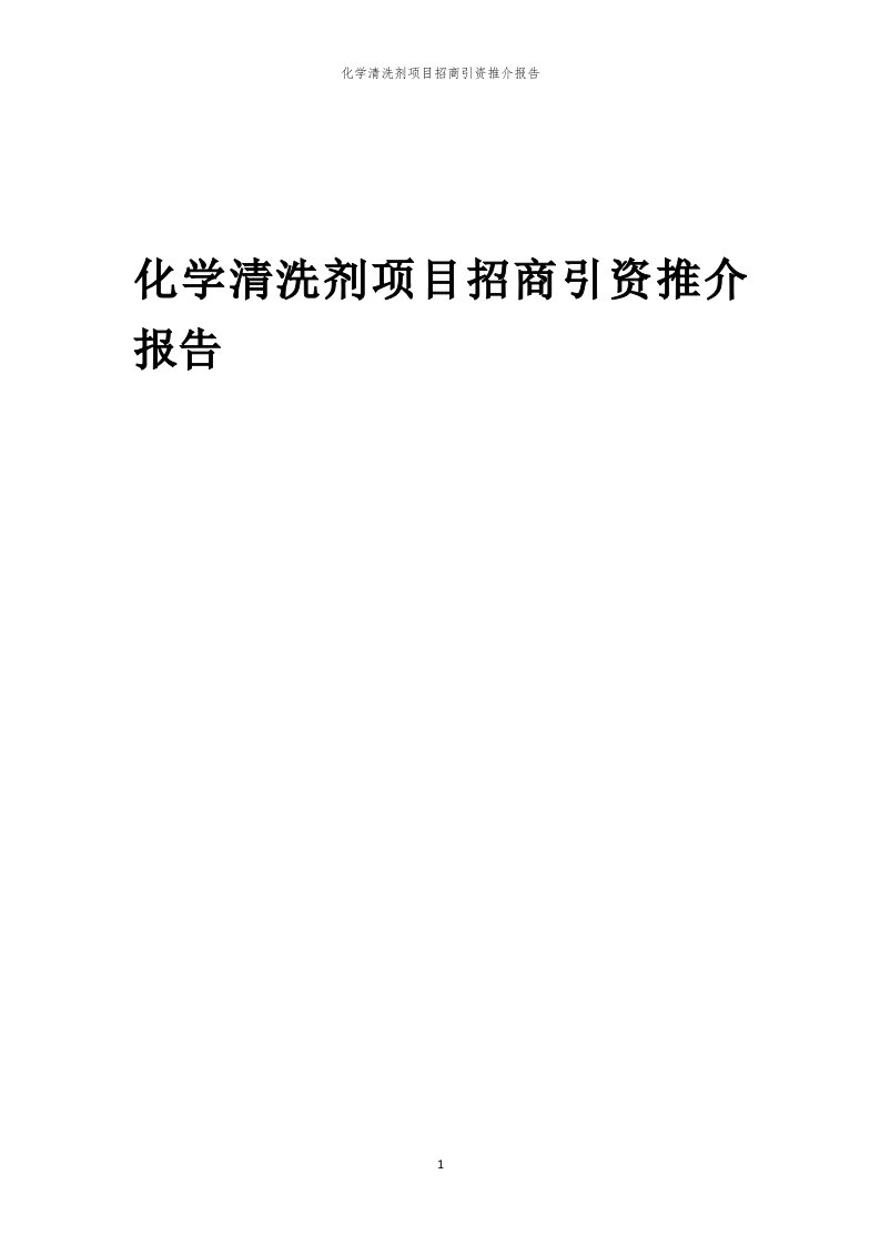 化学清洗剂项目招商引资推介报告