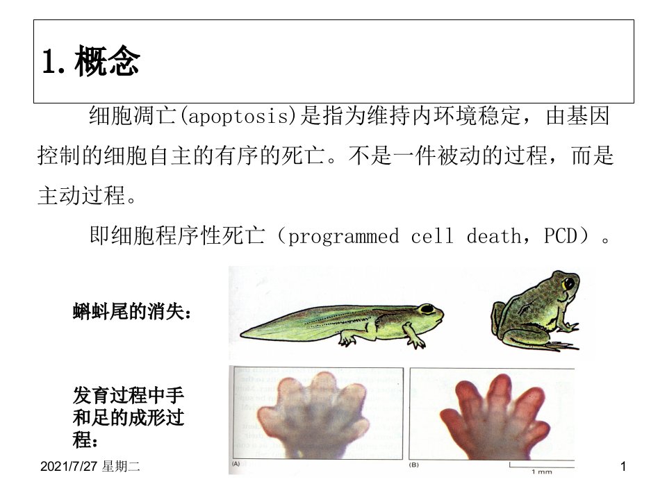 齐鲁医学细胞凋亡的信号通路