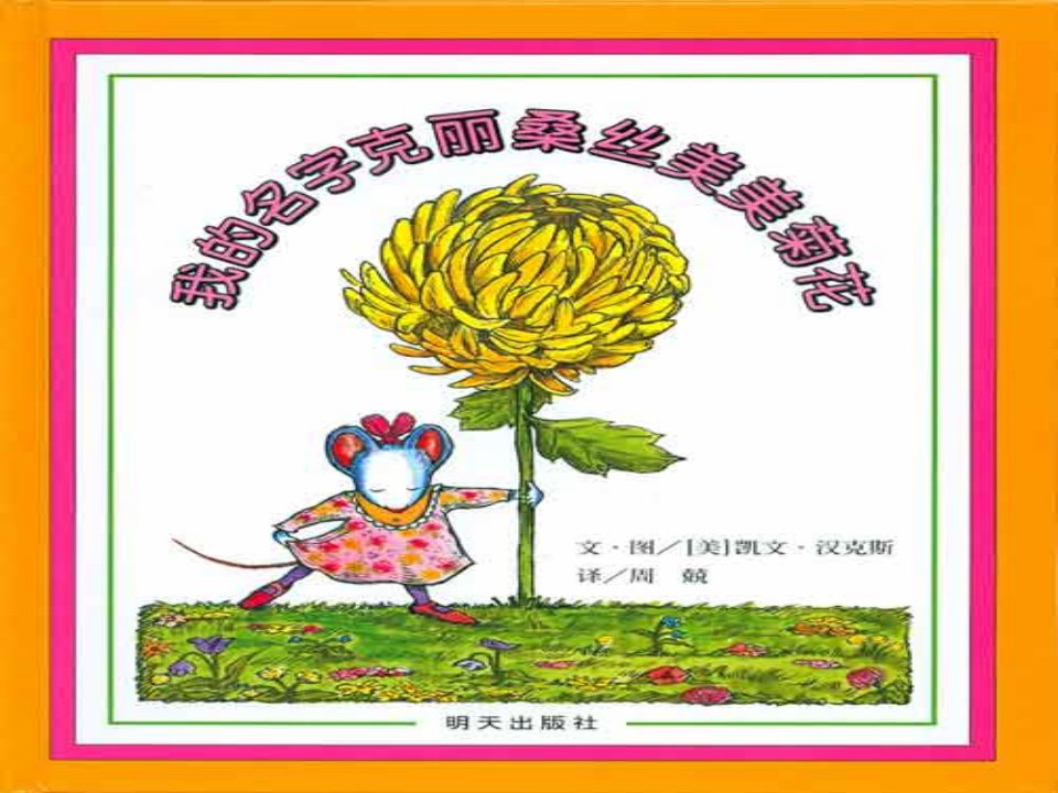 我的名字叫克里桑斯美美菊花