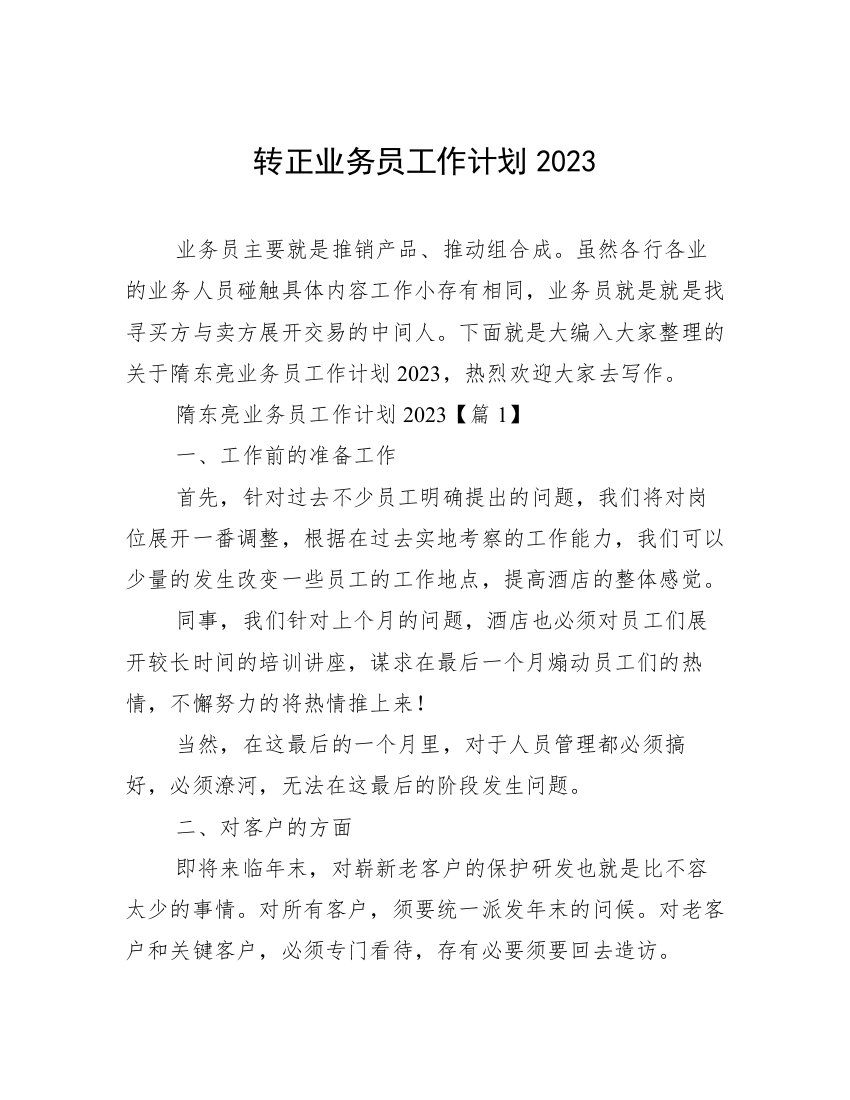 转正业务员工作计划2023