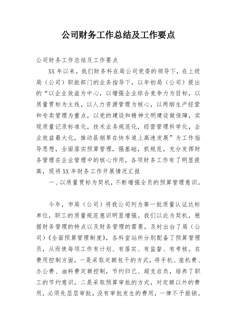 公司财务工作总结及工作要点