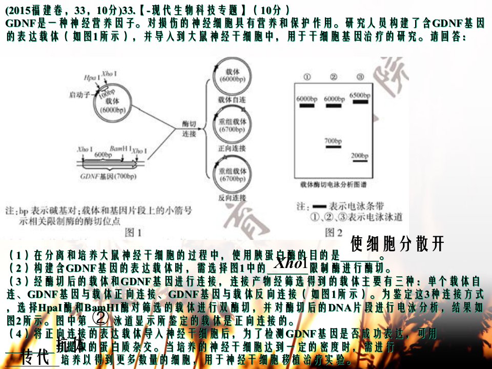 专题41细胞工程