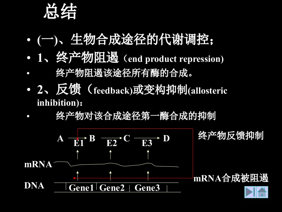 基础微生物学课件(3)