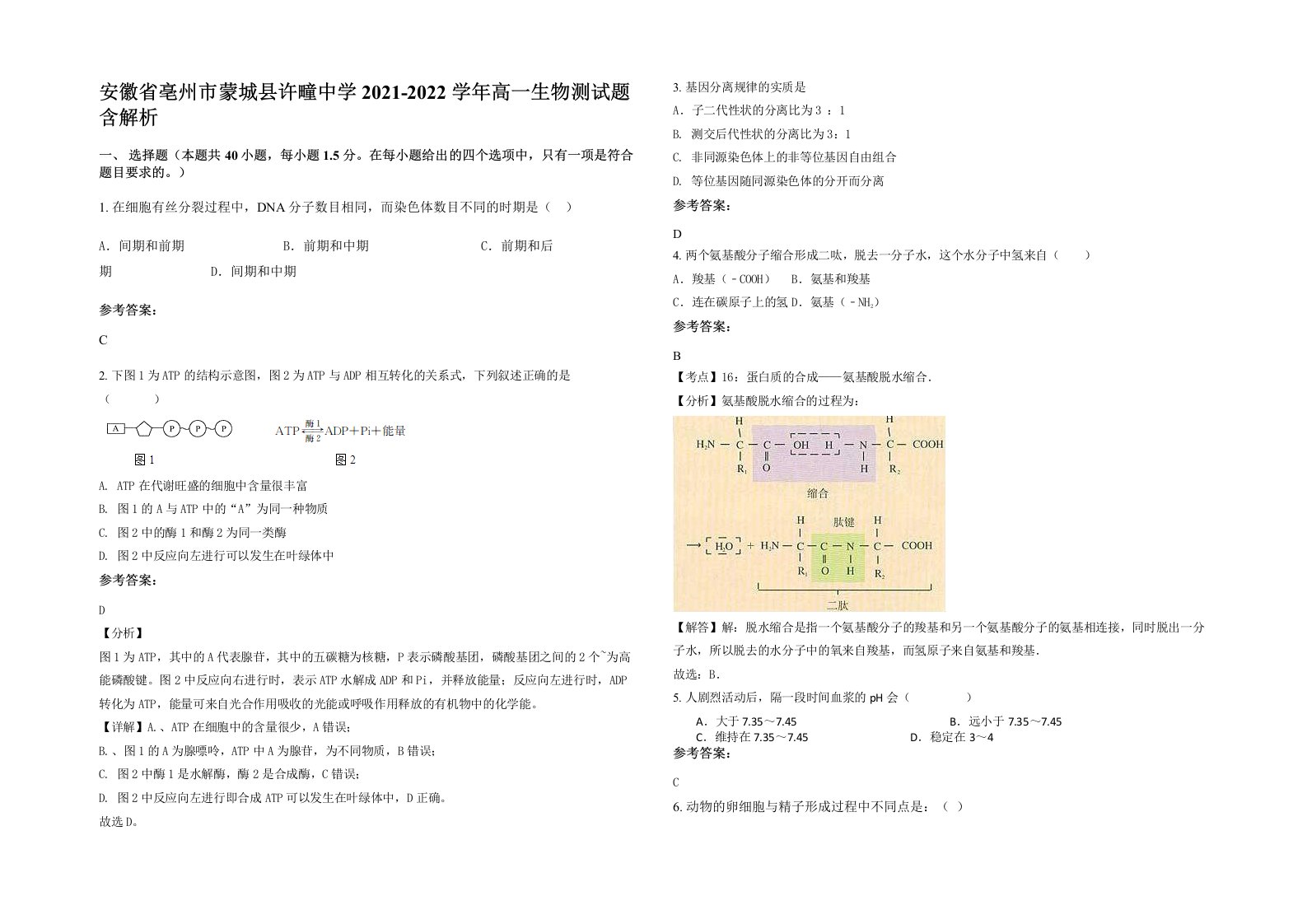 安徽省亳州市蒙城县许疃中学2021-2022学年高一生物测试题含解析