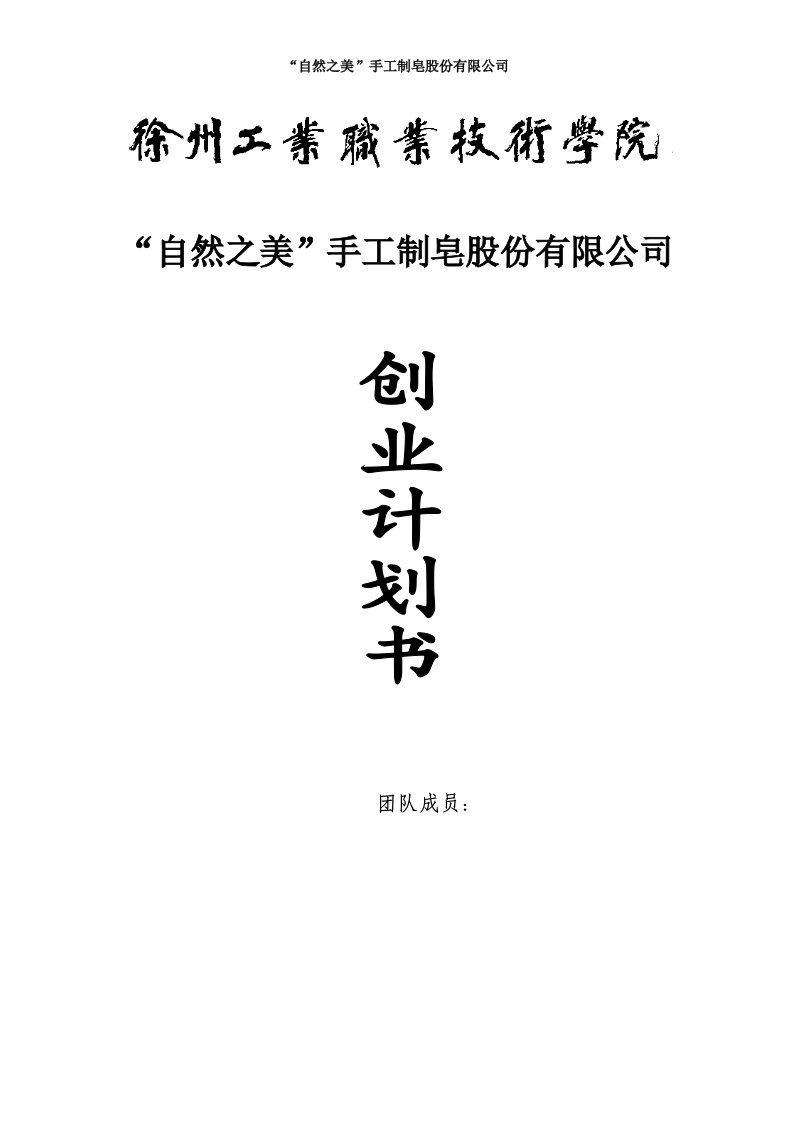 自然之美手工制皂股份有限公司可行性分析研究报告