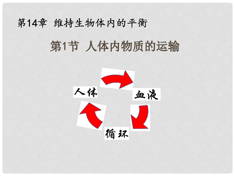 江苏省金湖县八年级生物上册