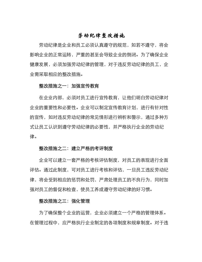 劳动纪律整改措施