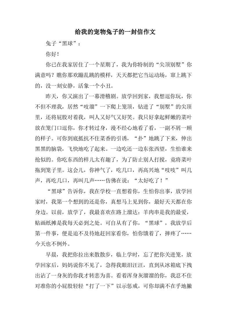 给我的宠物兔子的一封信作文