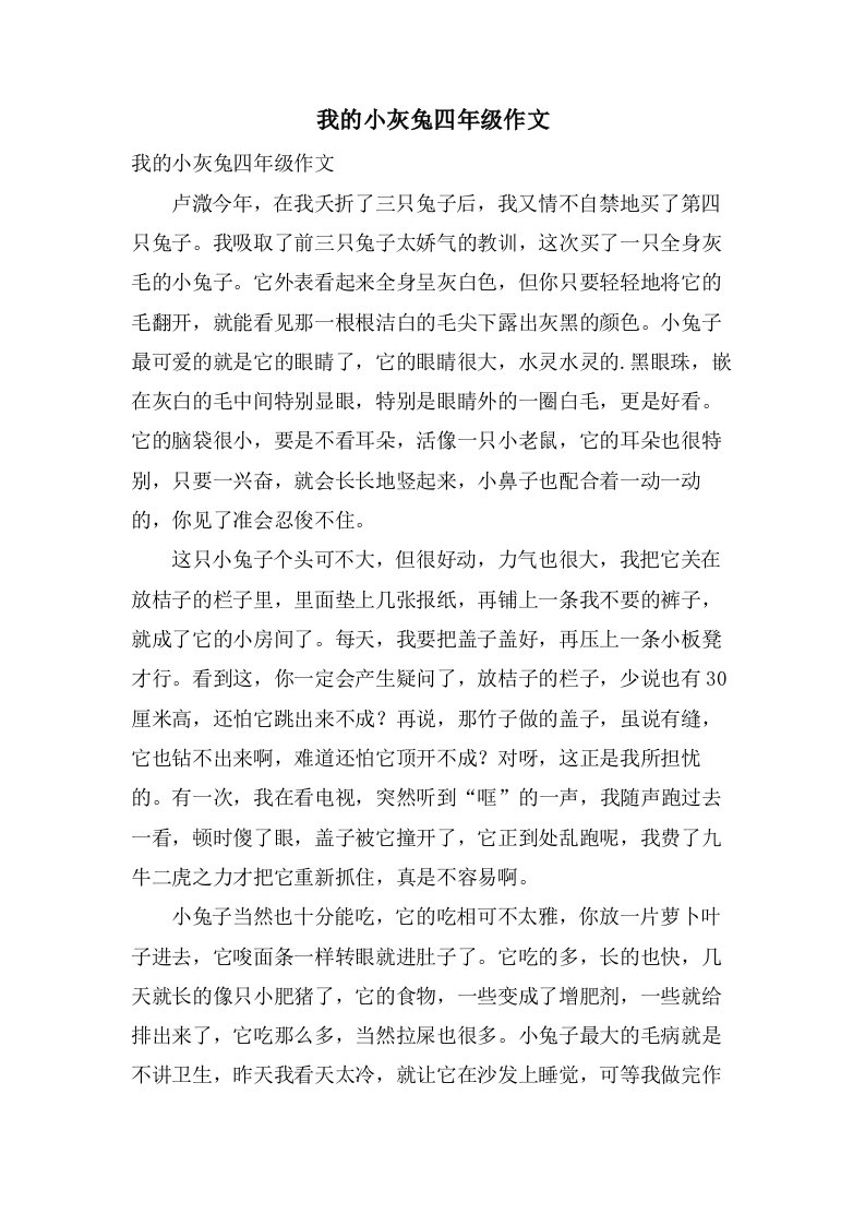 我的小灰兔四年级作文