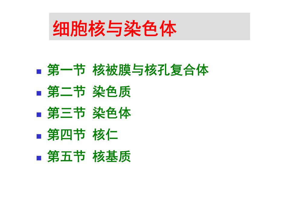 细胞核与染色体核糖体生物奥赛课件