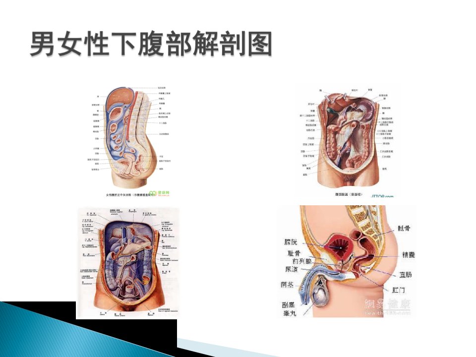 放射性肠炎课件ppt