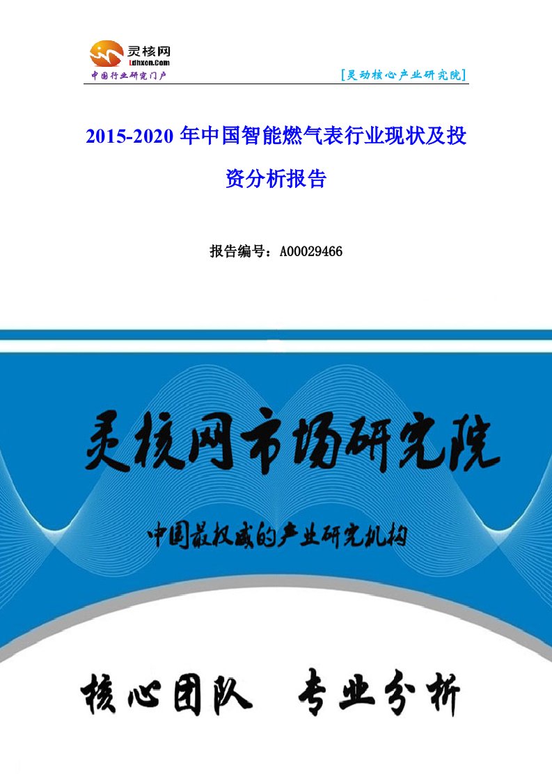 中国智能燃气表行业市场分析与发展趋势研究报告-灵核网.docx