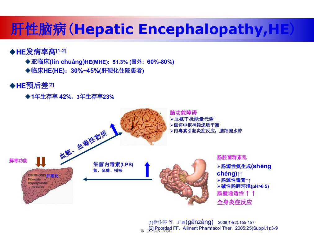 医学专题益生菌与肝性脑病