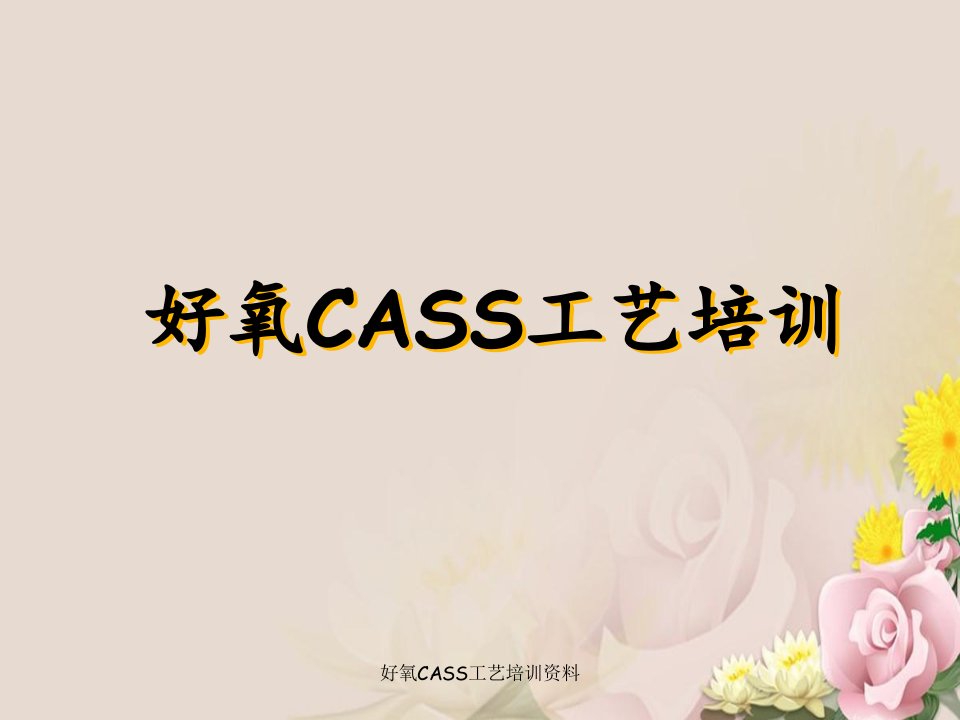 好氧CASS工艺培训资料