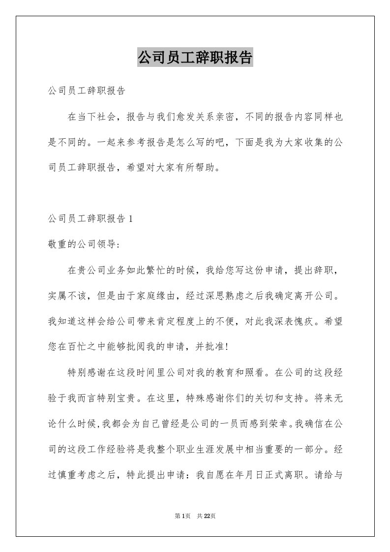 公司员工辞职报告例文9